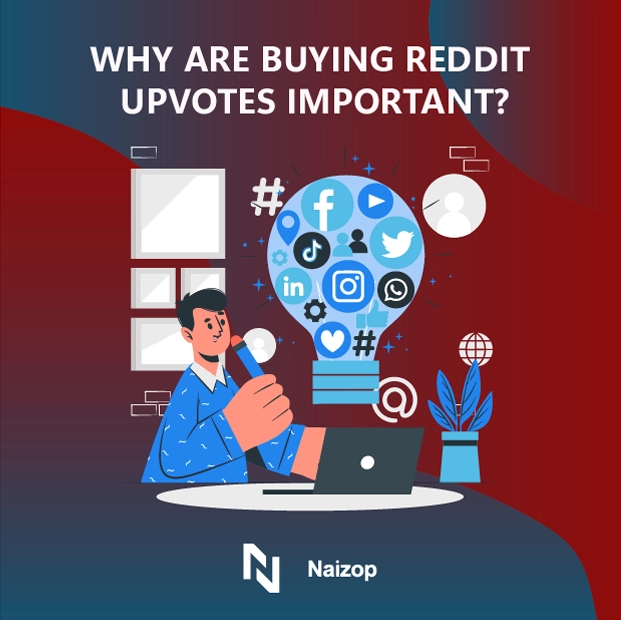 Why Are Reddit Upvotes Important?