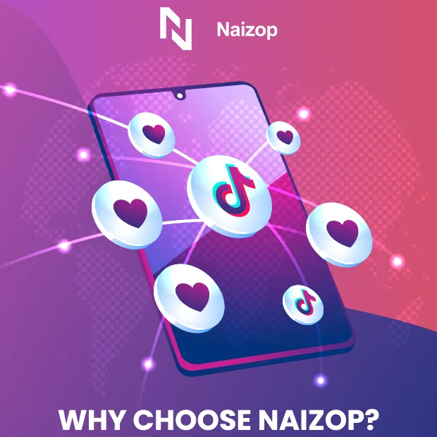 Why Choose Naizop?