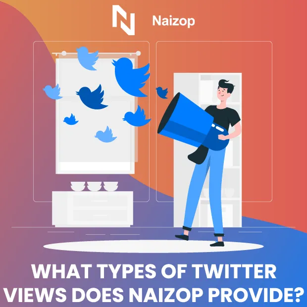 What Types of Twitter Views Does Naizop Provide?