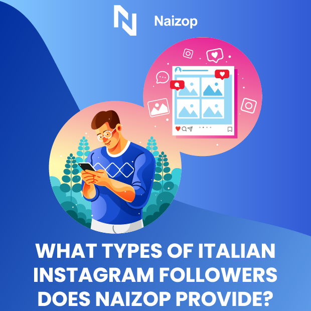 What Types of Instagram Followers Does Naizop Provide?