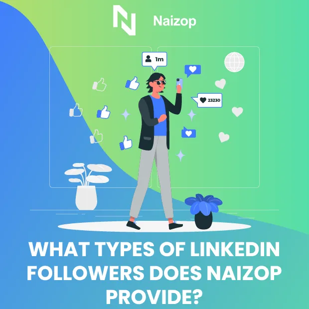 What Types of LinkedIn Followers Does Naizop Provide?