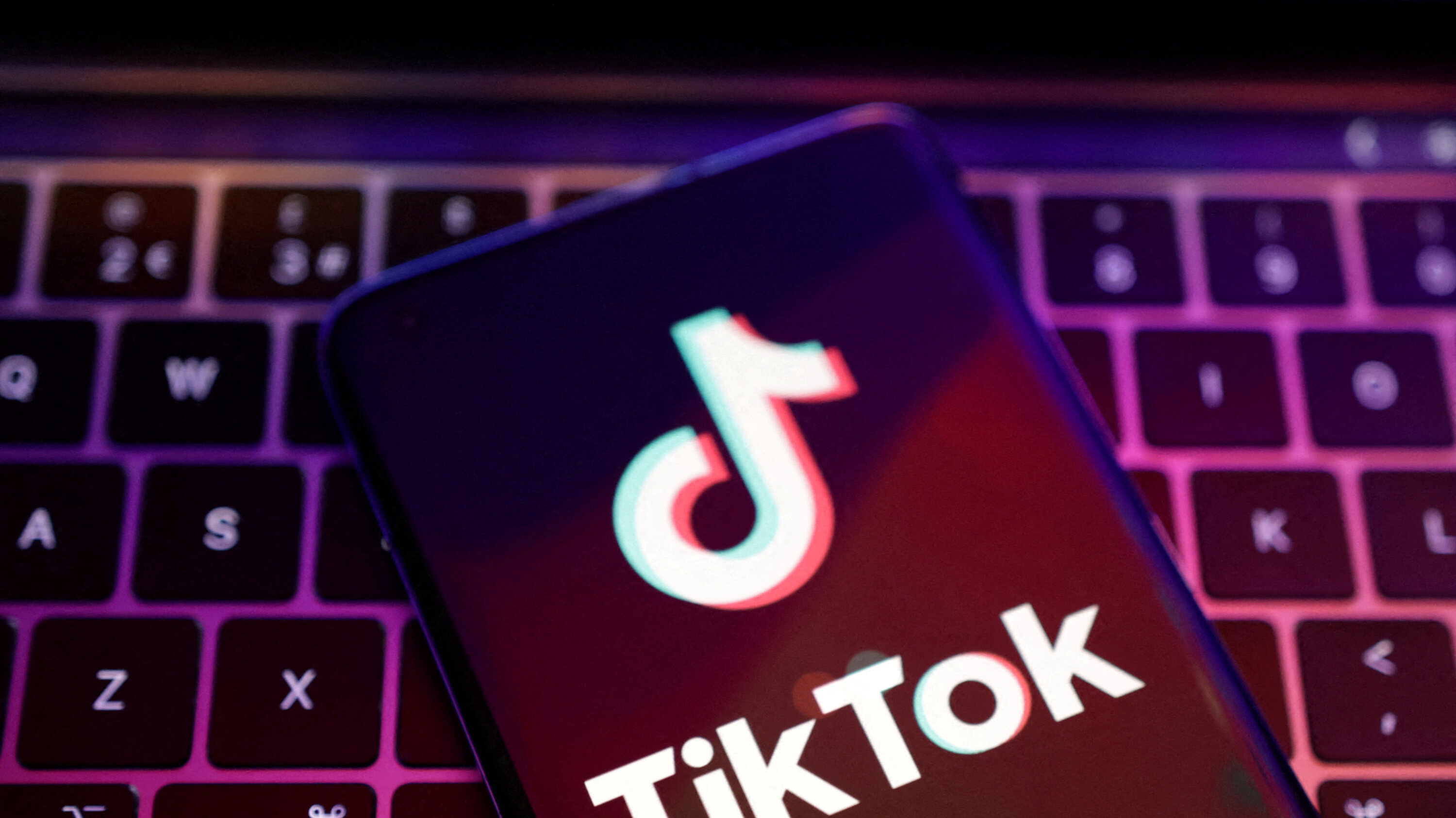 What are the Features of Blue Tik in TikTok Application?