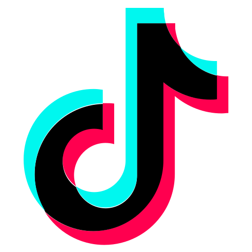 TikTok Story Service