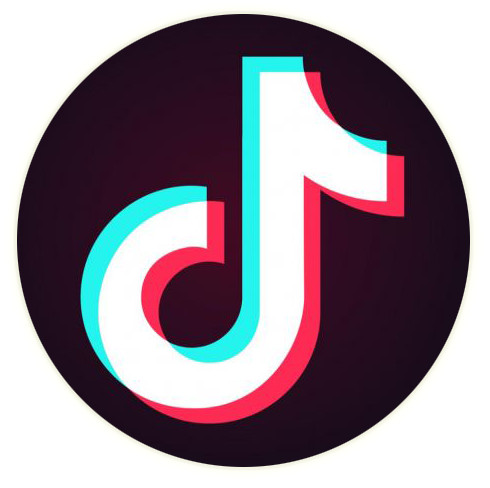 TIKTOK | Seguidores