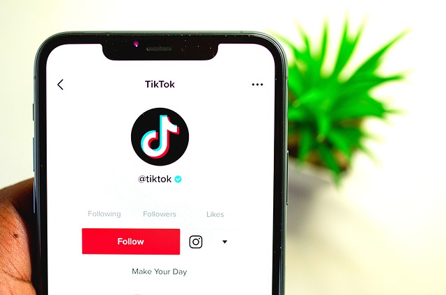 How to Remove a TikTok Filter