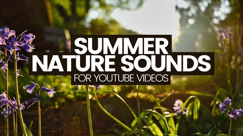 How To Make Nature Sound Videos For Youtube