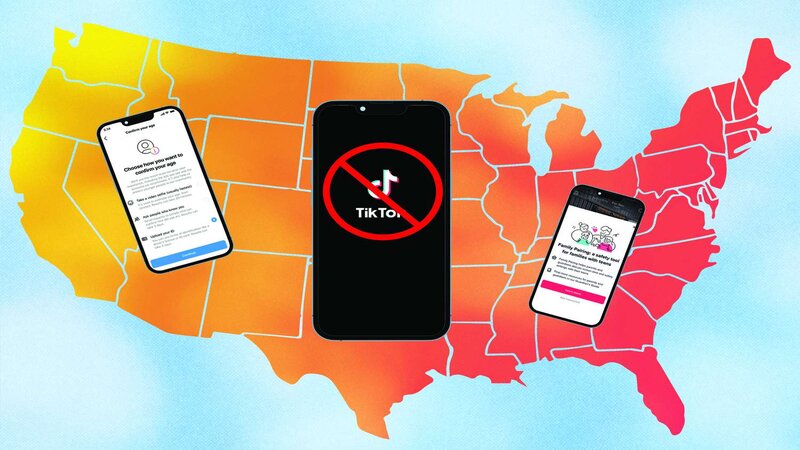 TikTok Ban in Montana: The Role of SMM Panels in Adapting to Change