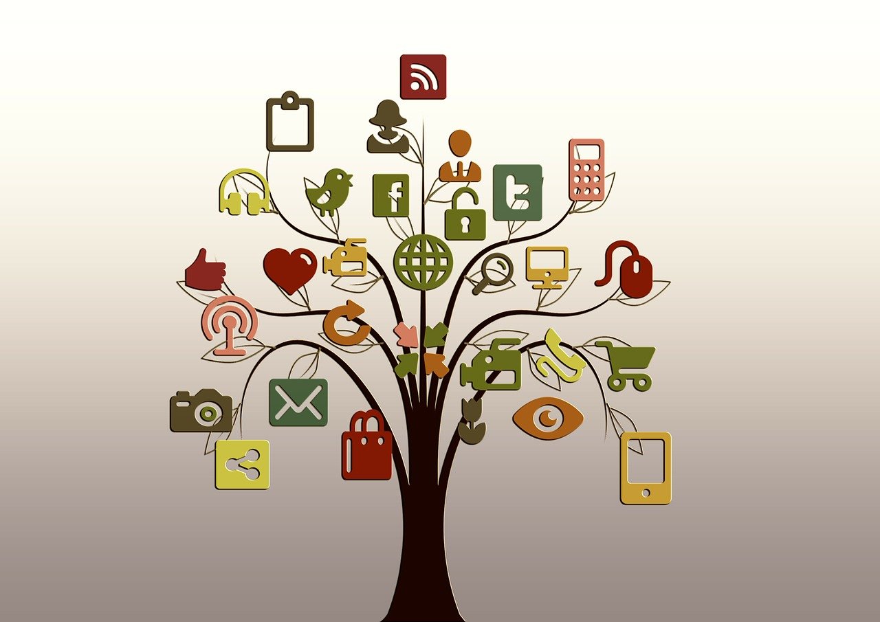 Best Smm Panel for Social Media Business