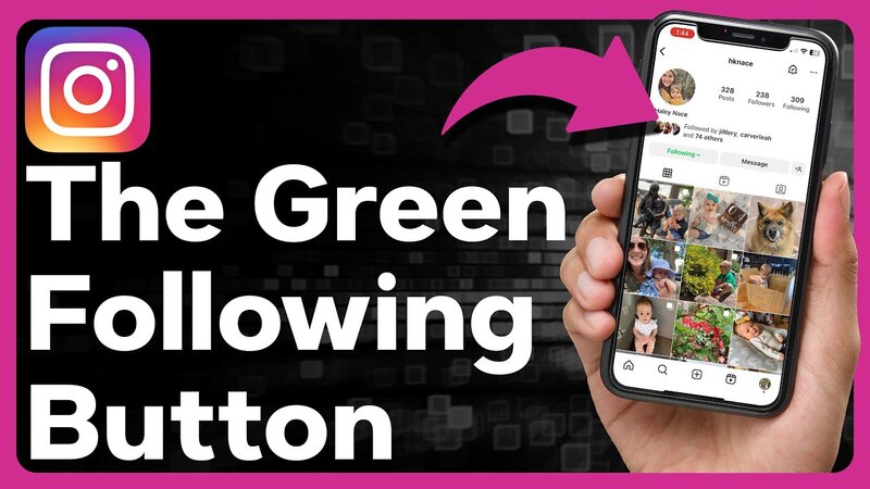 Why is the Follow Button Green on Instagram?