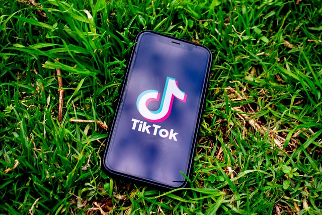 TikTok Dance Challenges - The Evolution of Social Media Trends