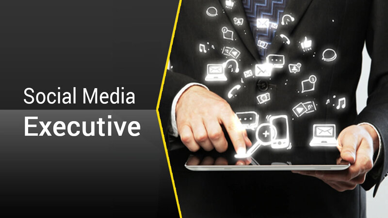 What is a Social Media Executive?