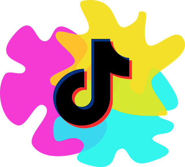 Why integrate TikTok into your advertising strategy?