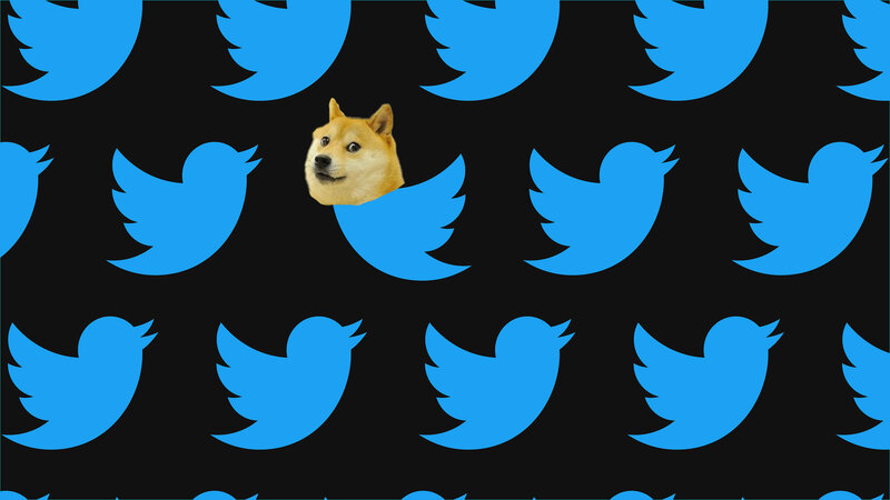 Will Twitter Use Dogecoin?