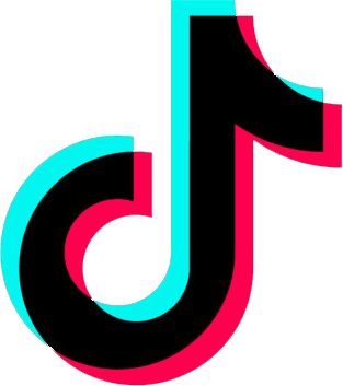 TikTok - Followers | Gender
