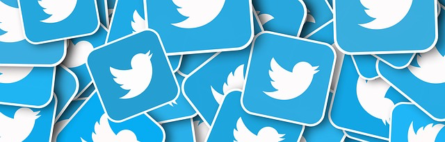 Twitter Pazarlaması Başarılı Olmak İçin İpuçları Twitter Pazarlaması Başarılı Olmak İçin İpuçları