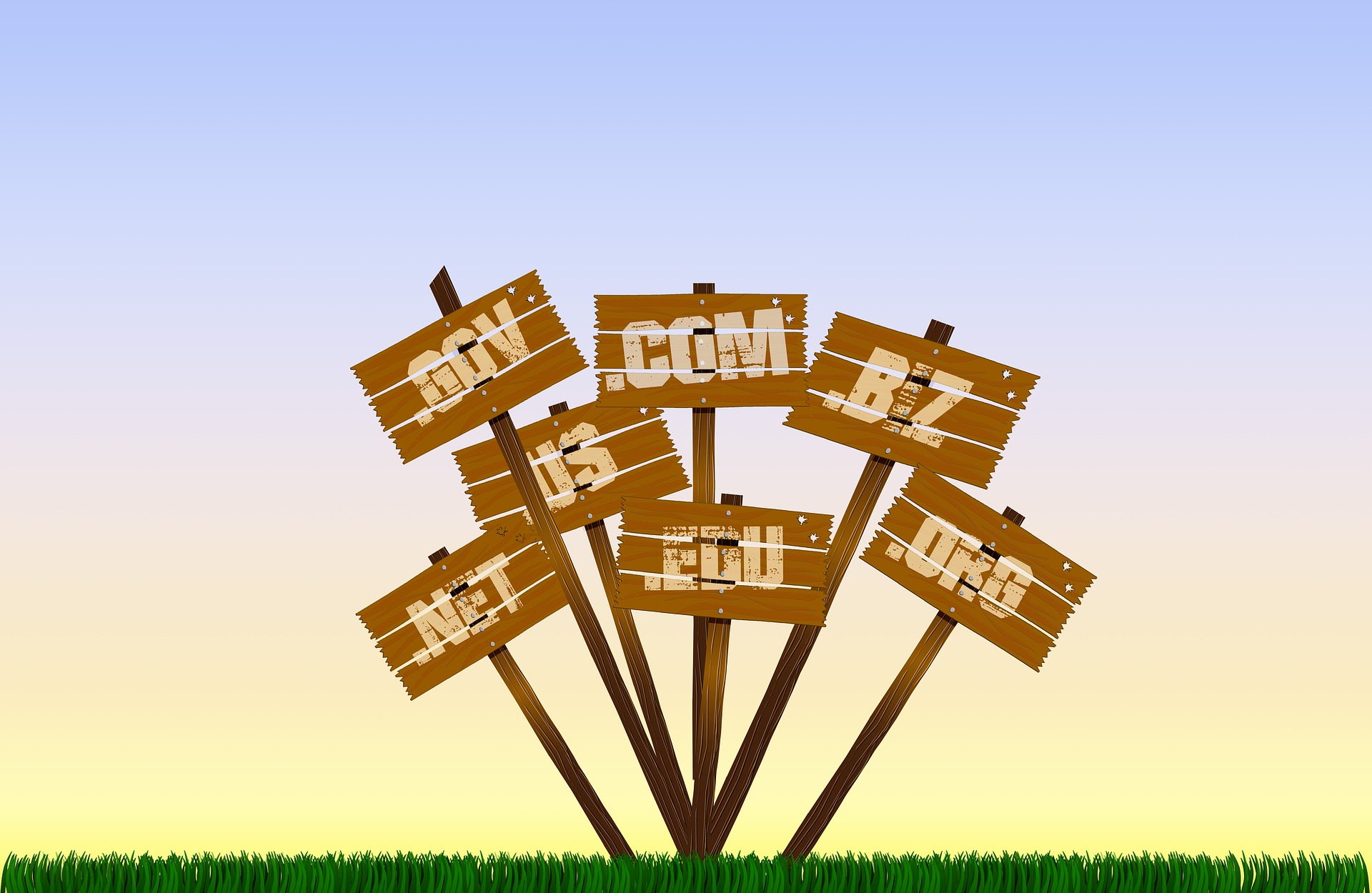 How to Choose Best Domain Name for SMM Panel? How to Choose Best Domain Name for SMM Panel?