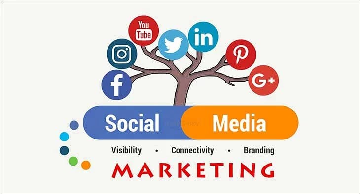 Top 6 Benefits of SMM Panels For Your Business
Top 6 Benefits of SMM Panels For Your Business