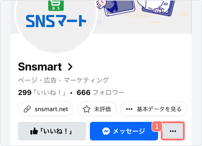 snsmart.co.jp