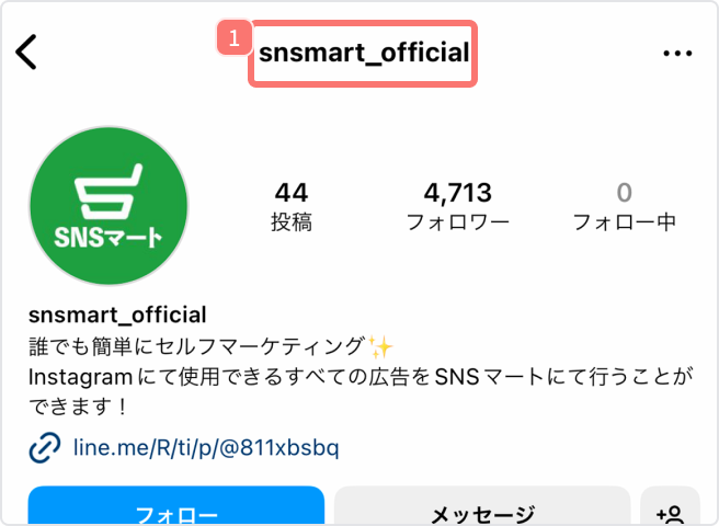 snsmart.co.jp