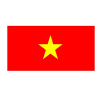 🇻🇳 Vietnamese Services 🇻🇳