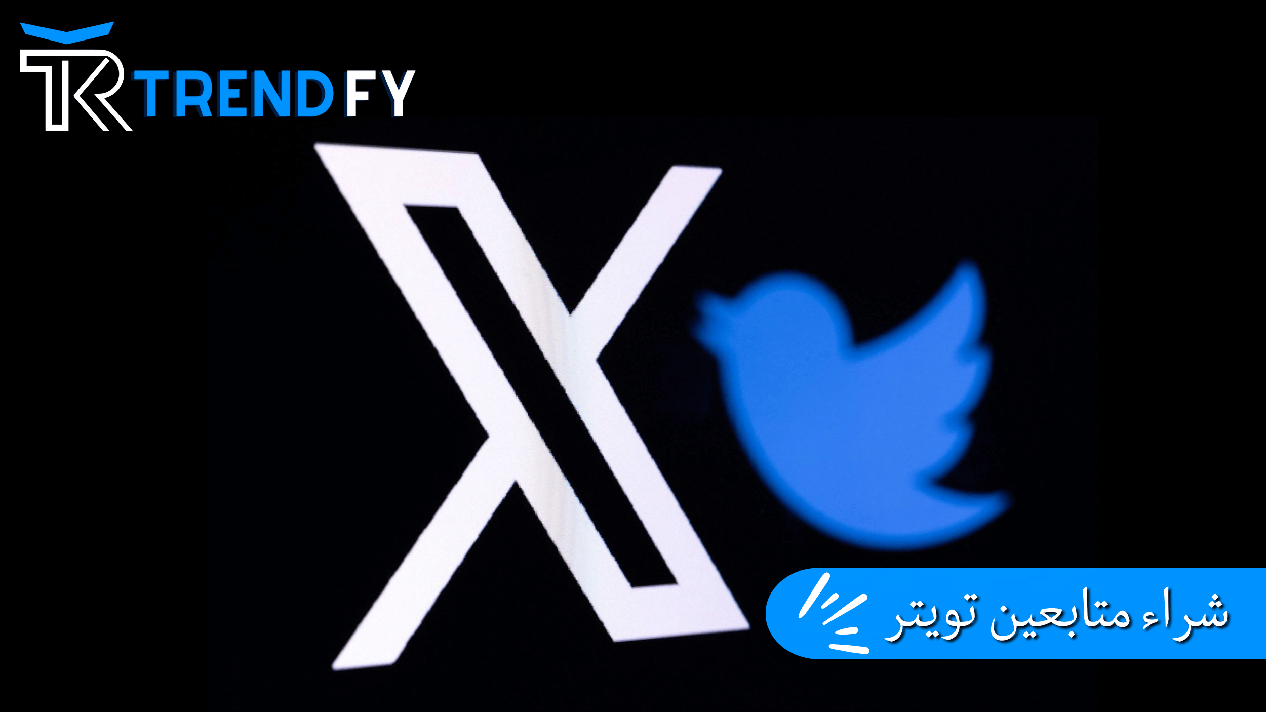 Server increase Twitter followers (trend Fy)