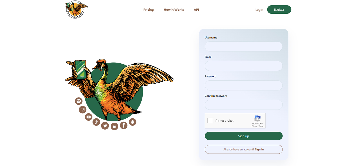 How It Works The MoreThanPanel Process Explained