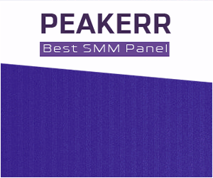 Best SMM Panel