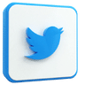 Twitter Followers - No Guarantee