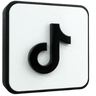 TikTok Follower - 100% Organic Services | It Works Seamlessly!