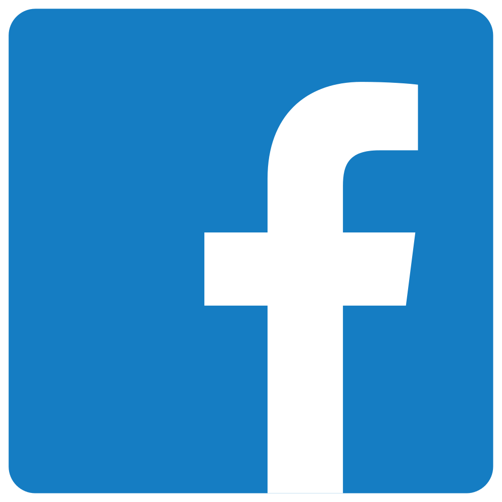 Facebook Page [LIKES + FOLLOWS] [TARGETED]
