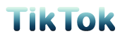 TikTok icon