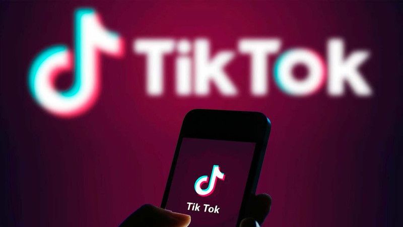 TikTok SMM Panel Hizmetleri