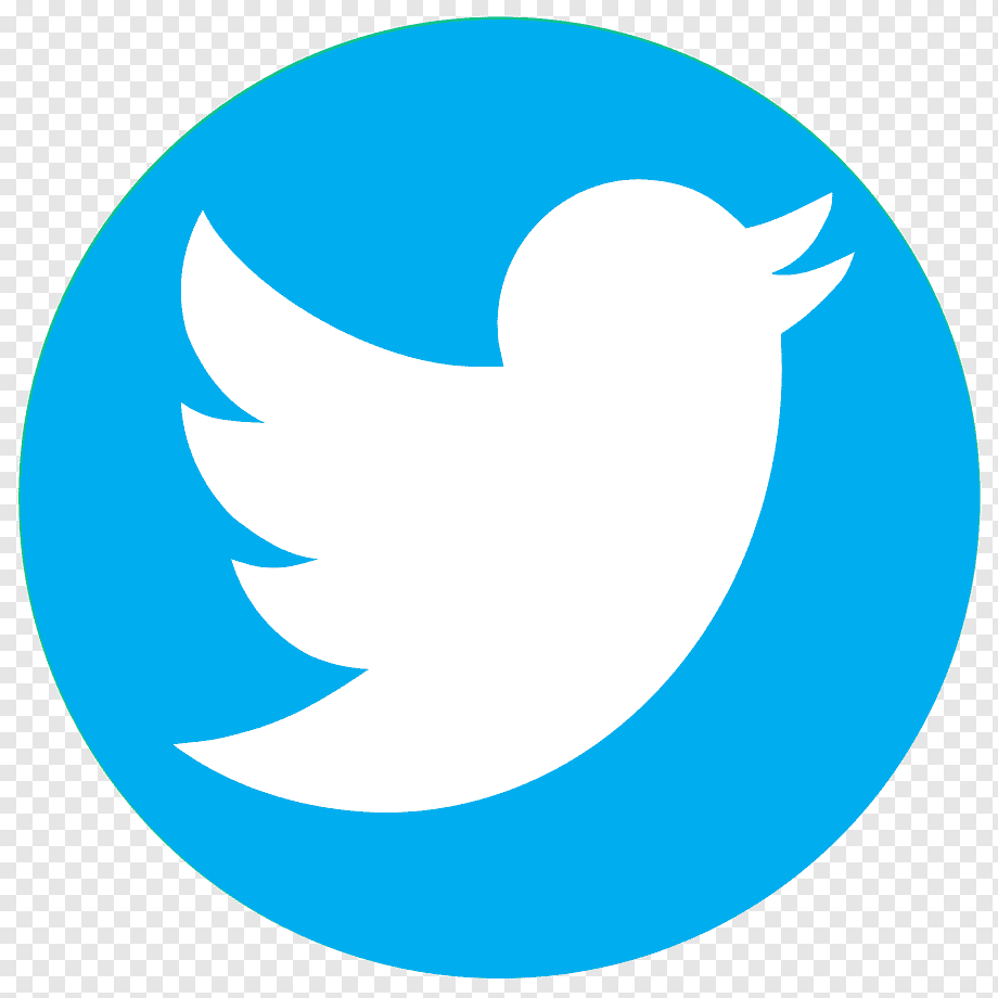 ✍️ TWITTER - SEGUIDORES