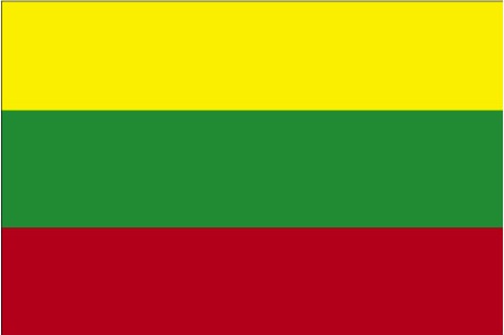 INSTAGRAM Lithuania Services