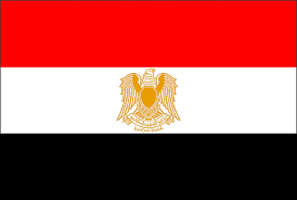 INSTAGRAM Egypt - Verified Services