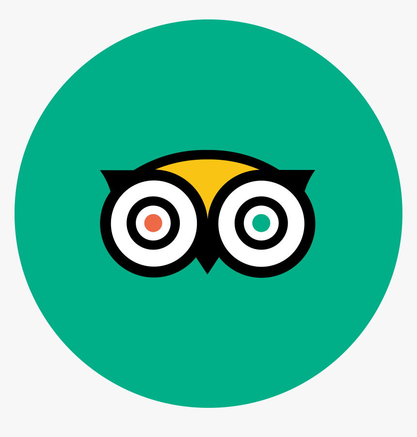 TripAdvisor Custom Reviews