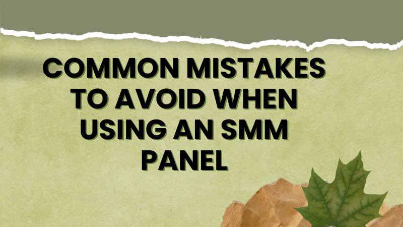 Steering Clear: Common Mistakes to Avoid When Utilizing an SMM Panel