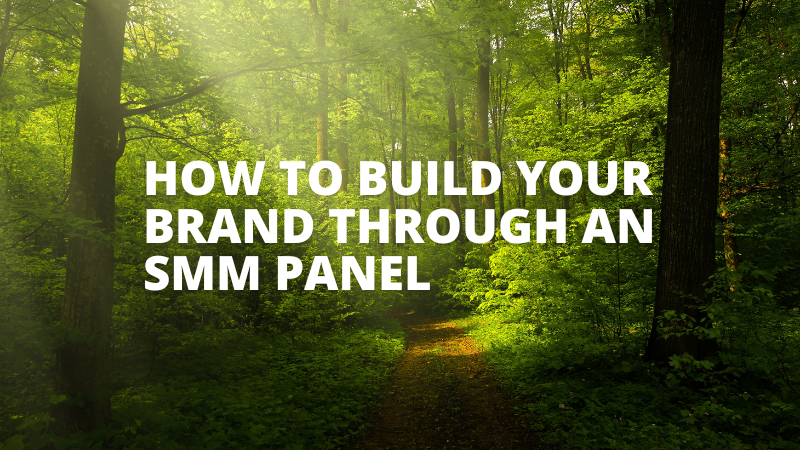 Mastering the Art: How to Build Your Brand Through an SMM Panel