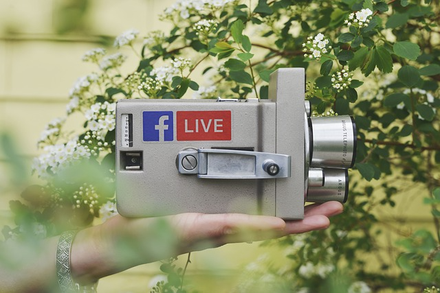 Buy Facebook Live Stream Views