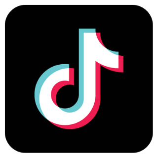 TikTok [ 100% Organic ]