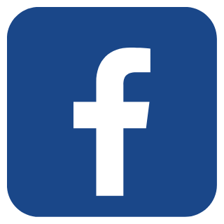 Facebook [ 100% Organic ]