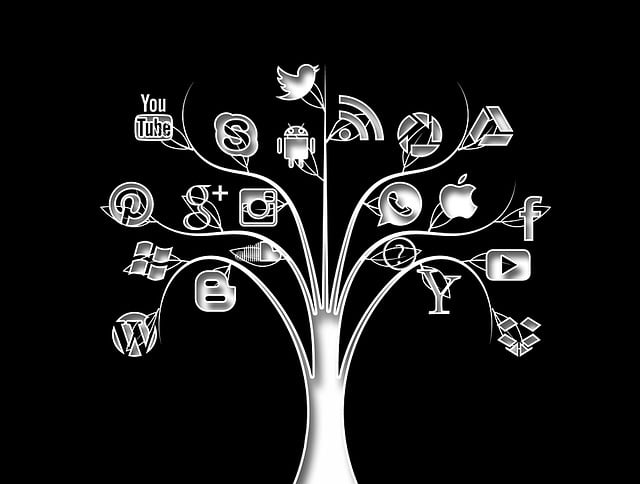 Top 10 Cheapest SMM reseller panel Top 10 Cheapest SMM reseller panel