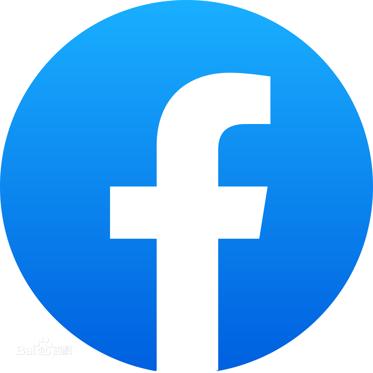 Facebook 主页点赞+关注者