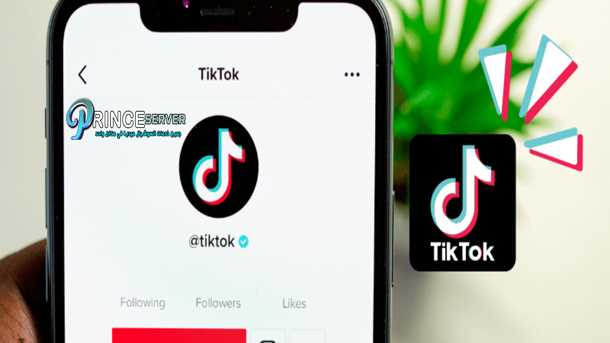 طريقة شراء متابعين تيك توك TikTok من أفضل موقع بأقل من 1 دولار