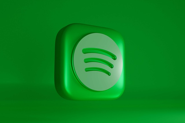 How to Use Spotify More Effectively?