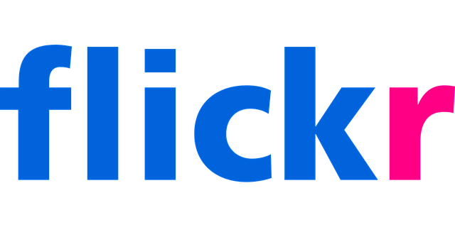 What Is Flickr, What Does It Do?