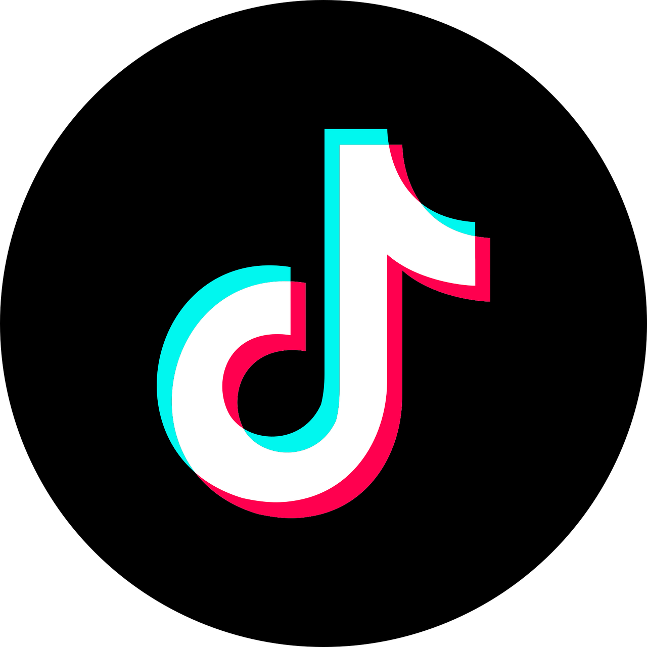 TikTok Views | Comments | Shares