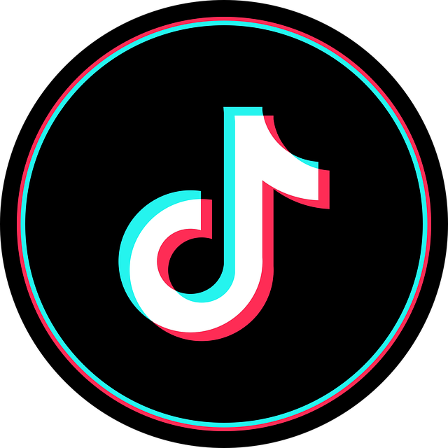 15 Idee per Video TikTok per Coinvolgere i Tuoi Clienti e Potenziare l'SEO (2023)