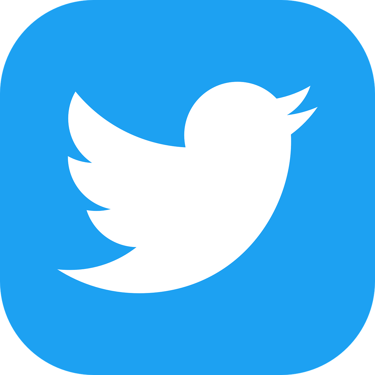 Twitter Poll Votes