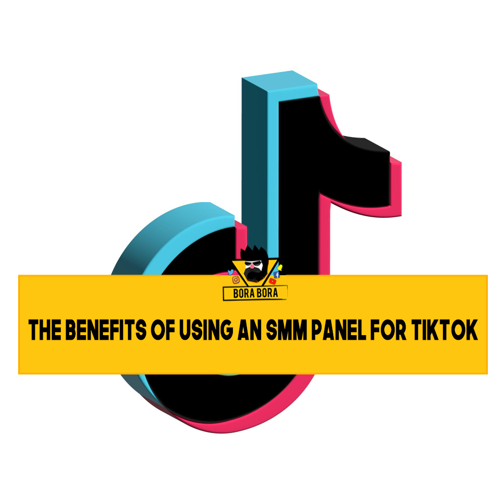 The Benefits of Using an SMM Panel for TikTok